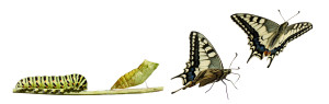 digital-transformation-caterpilllar